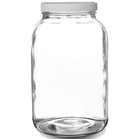 Glass Jar Png Image Purepng Free Transparent Cc0 Png - vrogue.co