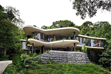 The glass house Planchonella in the tropical forest from Jesse Bennett ...