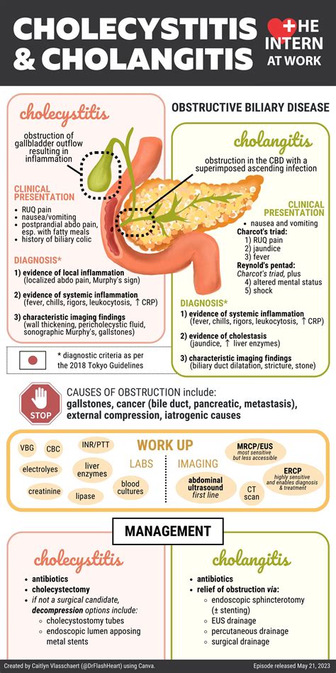 Cholecystitis and Cholangitis — The Intern at Work