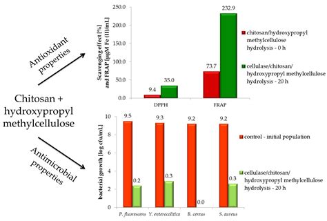 IJMS | Free Full-Text | Antimicrobial and Antioxidant Activity of Chitosan/Hydroxypropyl ...