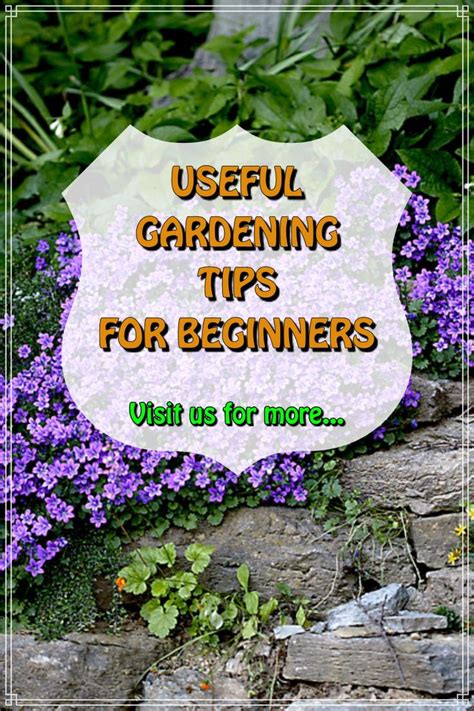 Simple Gardening Tips From The Pros - Gardening Tips for Beginners | Organic gardening ...