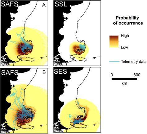 Pinniped predicted habitat use (probability of occurrence, proportional... | Download Scientific ...