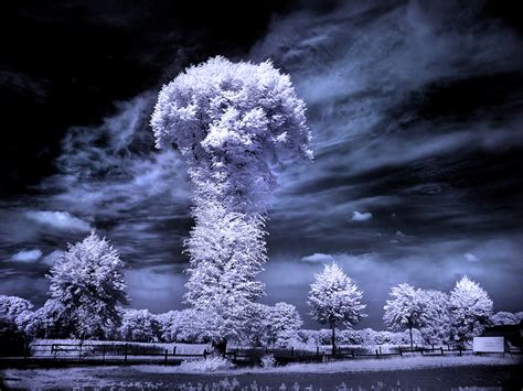 45+ Surreal Infrared photography Inspirations and Tips | Smashing Tips