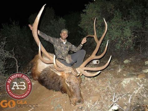 Biggest Bull Elk - Hunting Photos | goHUNT