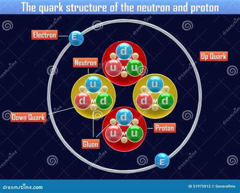 The Quark Structure of the Neutron and Proton Stock Illustration ...