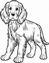 Free Printable Irish Setterd Puppy Coloring Page For Kids And Adults sketch template