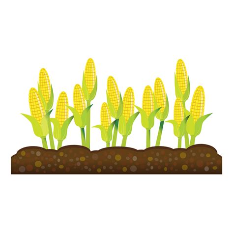 clipart of corn fields 10 free Cliparts | Download images on Clipground 2024