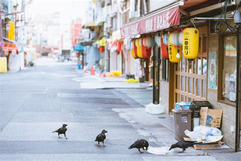 Top 147 Japan Street Photography Shots That Capture The Rarely Seen ...