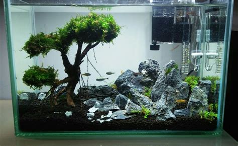 Nano Fish Tank (aquascape), Pet Supplies, Homes & Other Pet Accessories ...