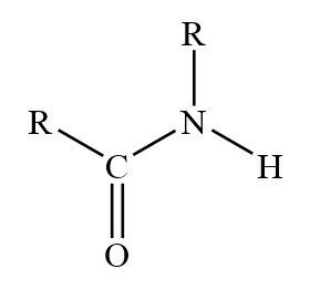 Amide | Structure, Functional Group Bond & Examples - Video & Lesson ...