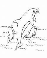 Dolphin coloring Pages sketch template