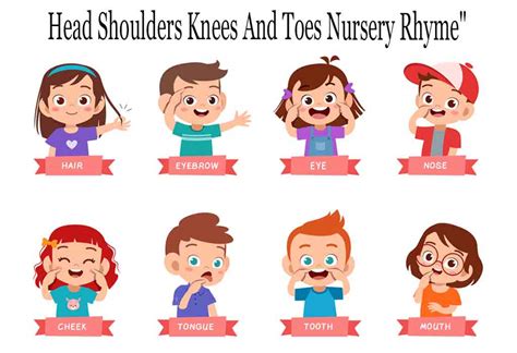 Head Shoulders Knees And Toes | Nursery Rhyme For Kids With Lyrics