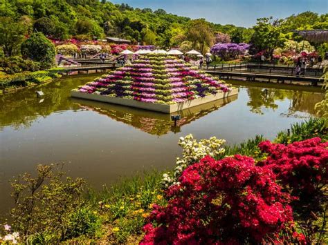 Ashikaga City: Wisterias and Ancient Colleges | Japan Cheapo