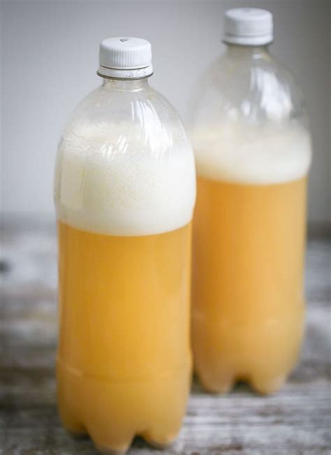 Ginger Beer Recipe Homebrew Non Alcoholic | Dandk Organizer