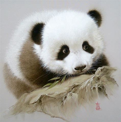 Baby Bamboo Panda | ubicaciondepersonas.cdmx.gob.mx