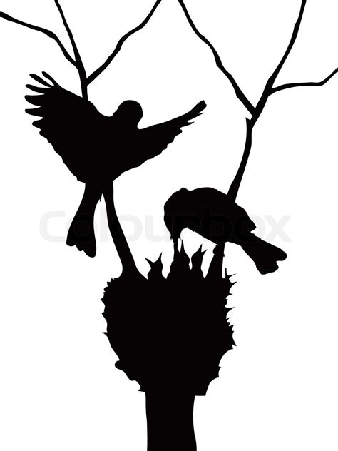 birds family silhouette | Stock vector | Colourbox