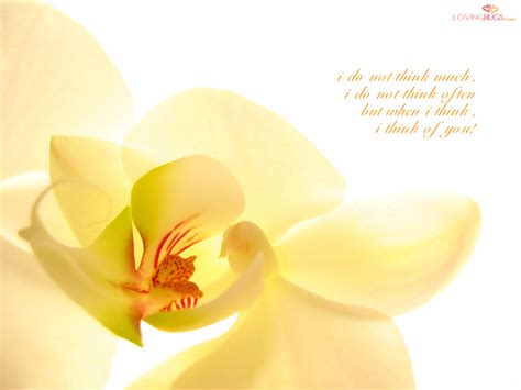 Orchid Quotes Sayings. QuotesGram