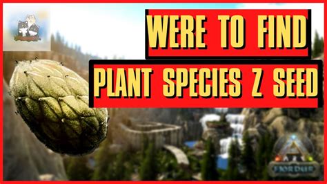 WHERE TO FIND PLANT SPECIES Z SEED - ARK FJORDUR - QUICK GUIDE - YouTube