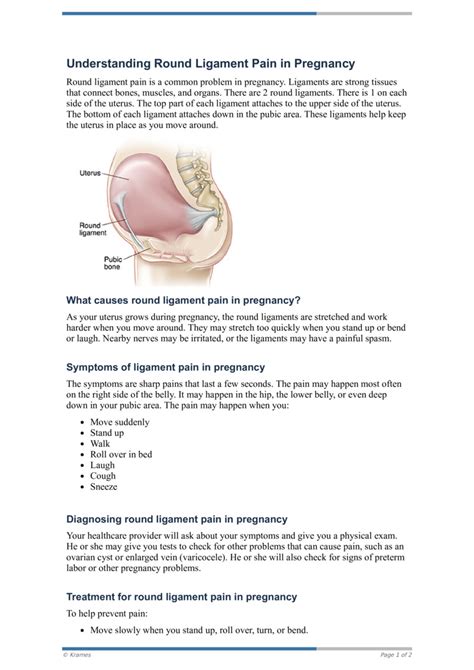 Round Ligament Pregnancy Anatomy