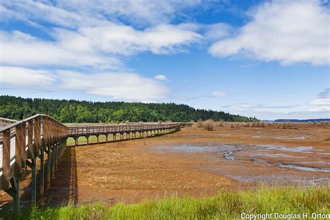 Nisqually River Delta, Nisqually National Wildlife Refuge | Douglas Orton Imaging