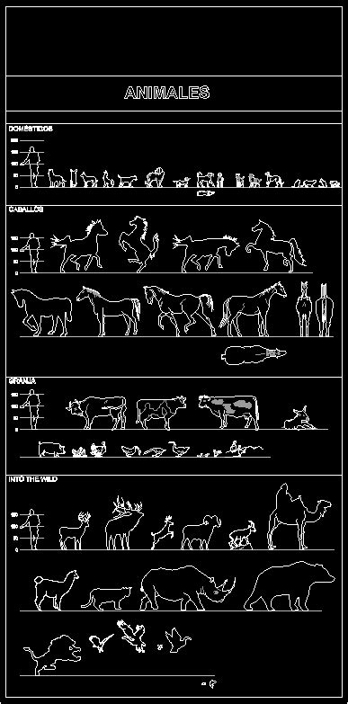 Various animals | Download drawings, blueprints, Autocad blocks, 3D models | AllDrawings