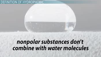 What is Hydrophobic? - Definition & Interactions - Video & Lesson ...