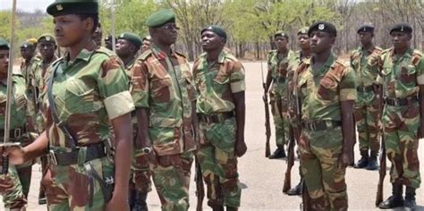 Zimbabwe Army Recruitment 2024 Application Portal | www.zna.gov.zw - Ediscoverhub.com