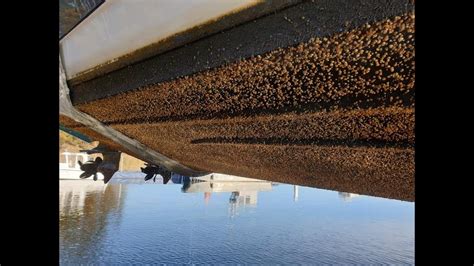 How to remove barnacles from your boat - YouTube