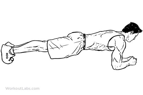 Plank | Exercise guide - WorkoutLabs | Gluteus minimus exercises ...