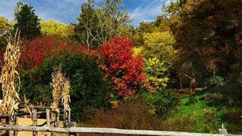 Fall in Virginia- 15 Spots to Enjoy Virginia Fall Colors