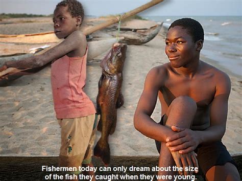 Lake Malawi Fish Stocks