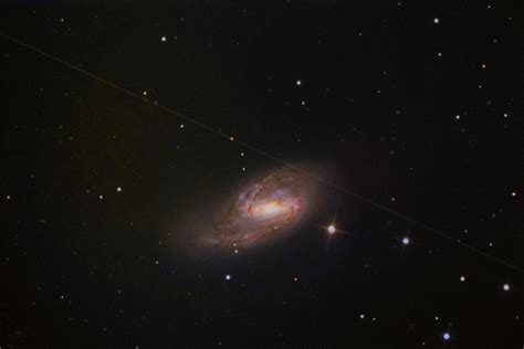 MESSIER 66 - Orange County Astronomers