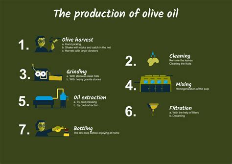 How Olive Oil Is Made? The hole prozess on our Blog