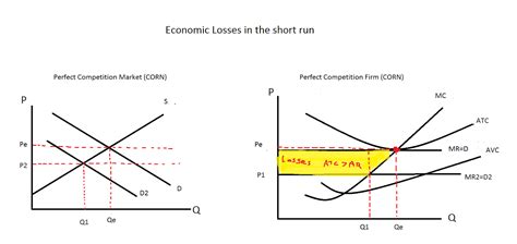 Perfect Competition : Brazil vs USA in the corn industry.