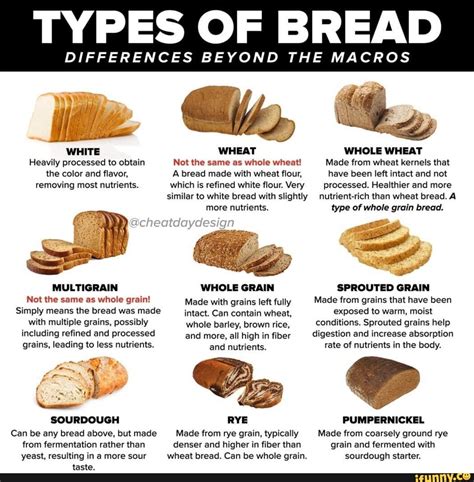 Whole Wheat Bread Vs Wholemeal at Steven Wallis blog