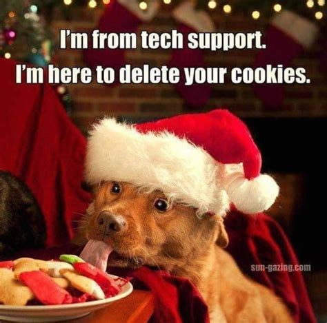 🎅 #Cookies #Dogs #Christmas #holidays #techsupport #funnies 🎄 Photo ...