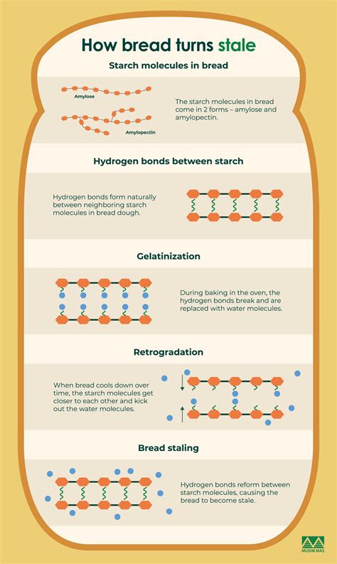 5 Ingredients That Extend the Shelf Life of Bread - Musim Mas