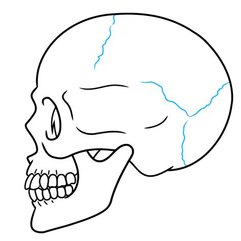 How to Draw a Skull in Profile - Really Easy Drawing Tutorial