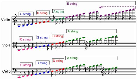 Difference Between Violin and Violas - (Yes They Are Not The Same)