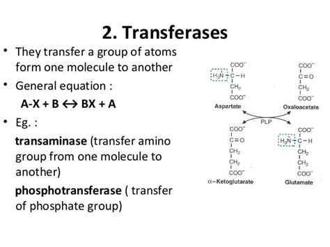 Classification of enzymes