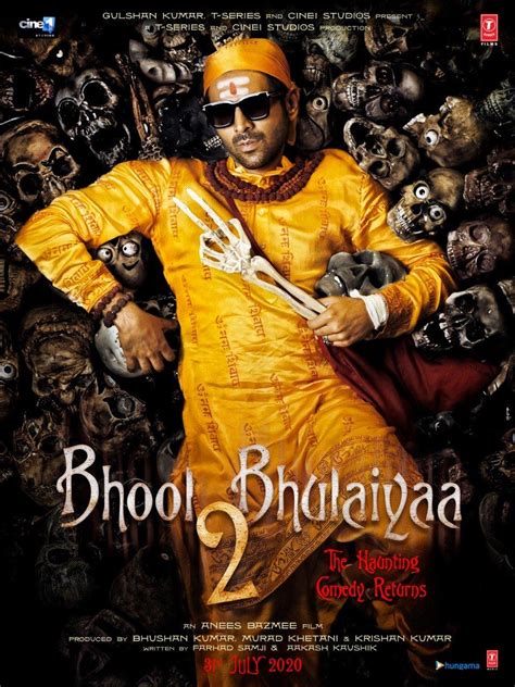 Bhool Bhulaiyaa 2 hindi Movie - Overview