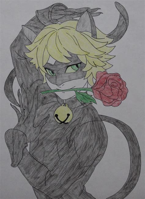 Cat Noir drawing by Sweetgirl333 on DeviantArt