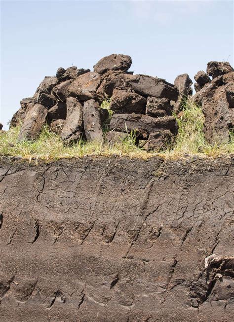 Peat-free gardening plea to help fight against climate change