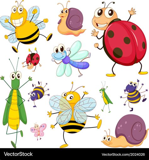 A group of insects Royalty Free Vector Image - VectorStock