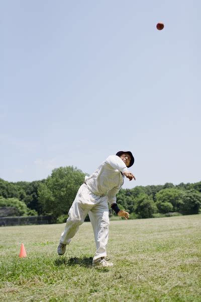 Cricket player throwing ball Free Photo Download | FreeImages