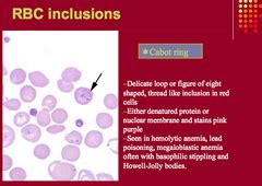 IM BLOOD SMEAR TEST III RBC INCLUSIONS flashcards | Quizlet