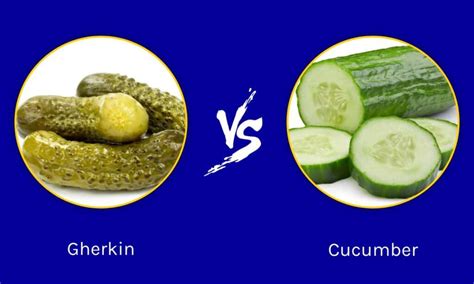 Gherkin vs Cucumber: Is There a Difference? - A-Z Animals