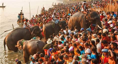 Sonepur Mela 'Hari Har Nath' - Bodhi Bihar Tourism