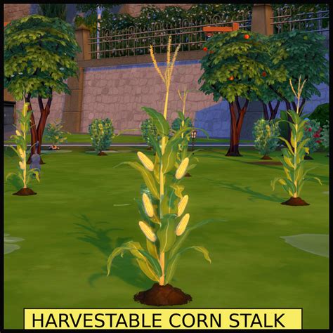 The Sims 4 HARVESTABLE CORN 1.91.205 Download on ModfouU.com