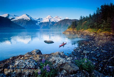 Sea Kayaking Glacier Bay National Park | garyluhm.net